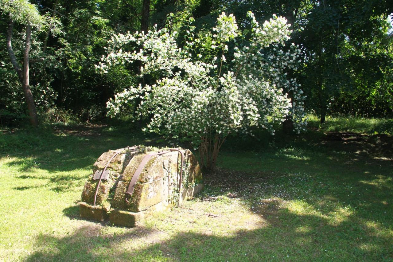 La Chartreuse Maison D Artistes Bergerac Kültér fotó