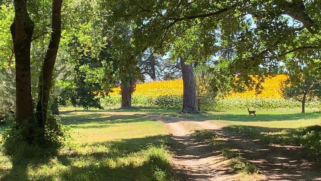 La Chartreuse Maison D Artistes Bergerac Kültér fotó